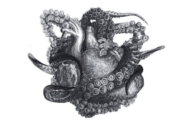Kraken купить клад