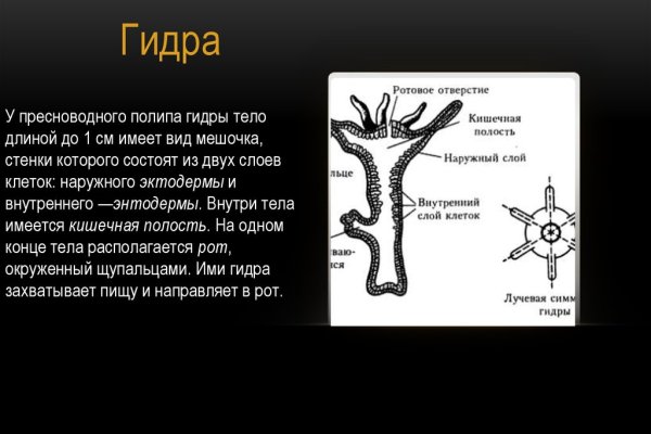 Кракен сайт зеркало рабочее на сегодня