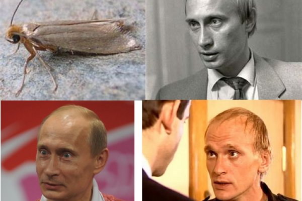 Кракен даркнет зайти