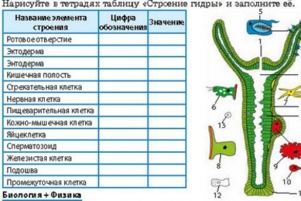 Официальная ссылка на кракен в тор